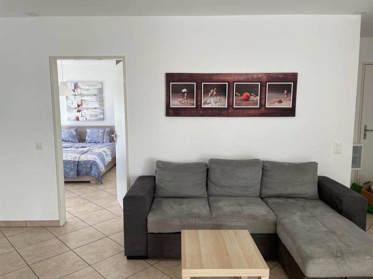 Appartamento 2,5 Con Piscina Nel Cuore Di Locarno 463 Екстериор снимка